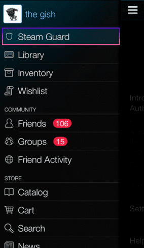 Steam 2024 Trade Hold Error. What to do? How to solve it?
